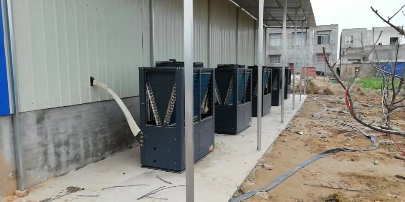 云南昆明吴先生大型金银花等药材类烘干工程