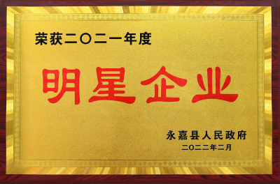 永嘉县明星企业