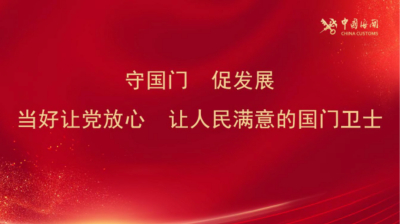 進出口塑料及其制品規(guī)范申報要素歸納