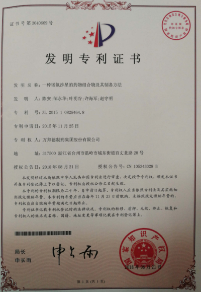 国内外发明专利展示