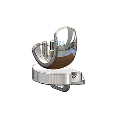 单髁膝关节（固定平台）