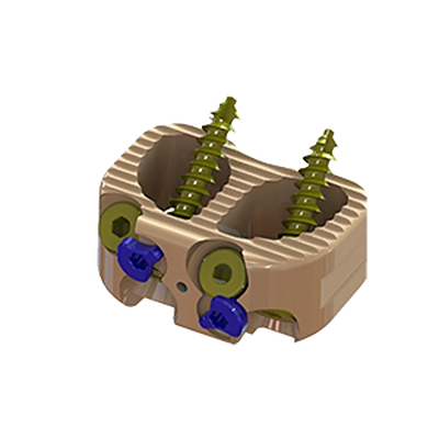 独立侧向椎间融合器