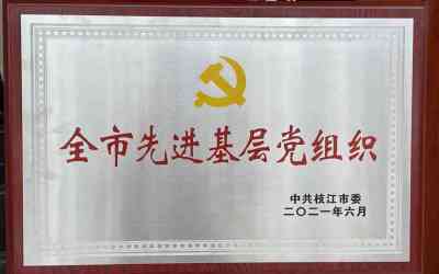 热烈祝贺中共友焜建工集团党支部荣获枝江市“优秀基层党组织”荣誉称号