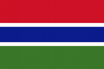 冈比亚- 电子货物跟...