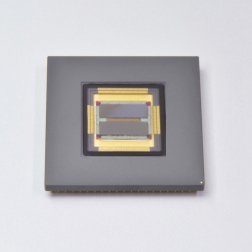 滨松HAMAMATSU      S14810   TDI-CCD 图像传感器