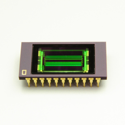 滨松HAMAMATSU    G11135-256DD   InGaAs 线阵图像传感器