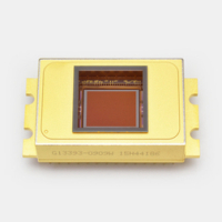 滨松HAMAMATSU   G13393-0909W    InGaAs 面阵图像传感器