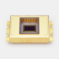 滨松HAMAMATSU  G13544-01     InGaAs 面阵图像传感器