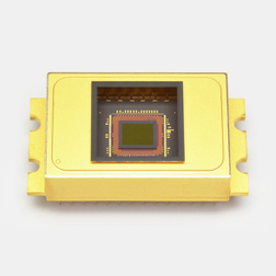 滨松HAMAMATSU    G14673-0808W   InGaAs 面阵图像传感器