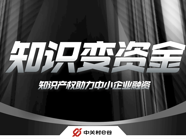 “知识变资金——知识产权助力中小企业融资”专题培训