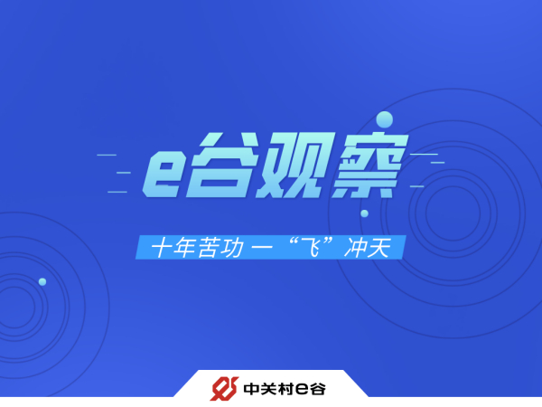 【e谷观察】十年苦功 一“飞”冲天