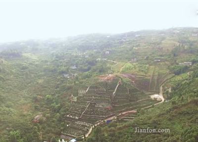 成都龙泉枇杷沟美满村