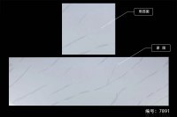 鱼肚系列-7891