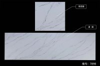 鱼肚系列-7898