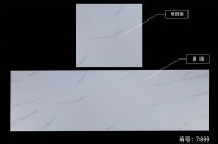 鱼肚系列-7899