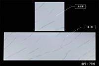 鱼肚系列-7900