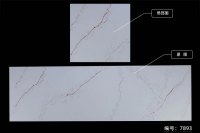 鱼肚系列-7893