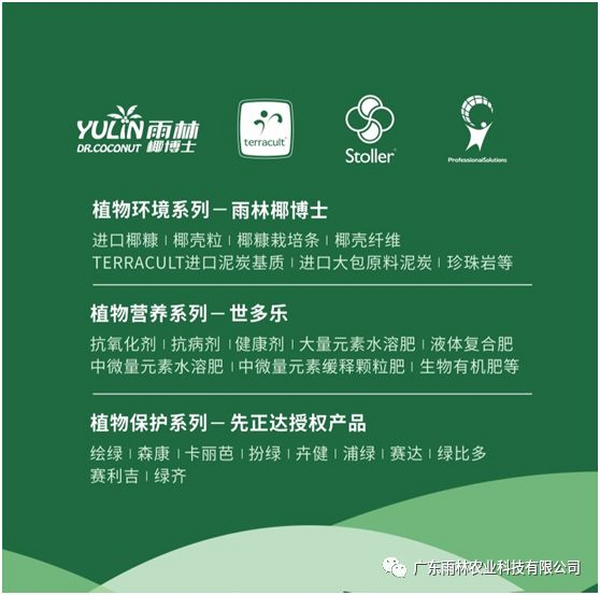 专注技术和服务，用心做好产品和应用