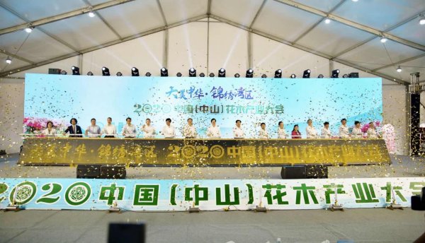 大美中华 • 锦绣湾区 | 雨林展现“椰生态 • 绿动力” 2020中国（中山）花木产业大会