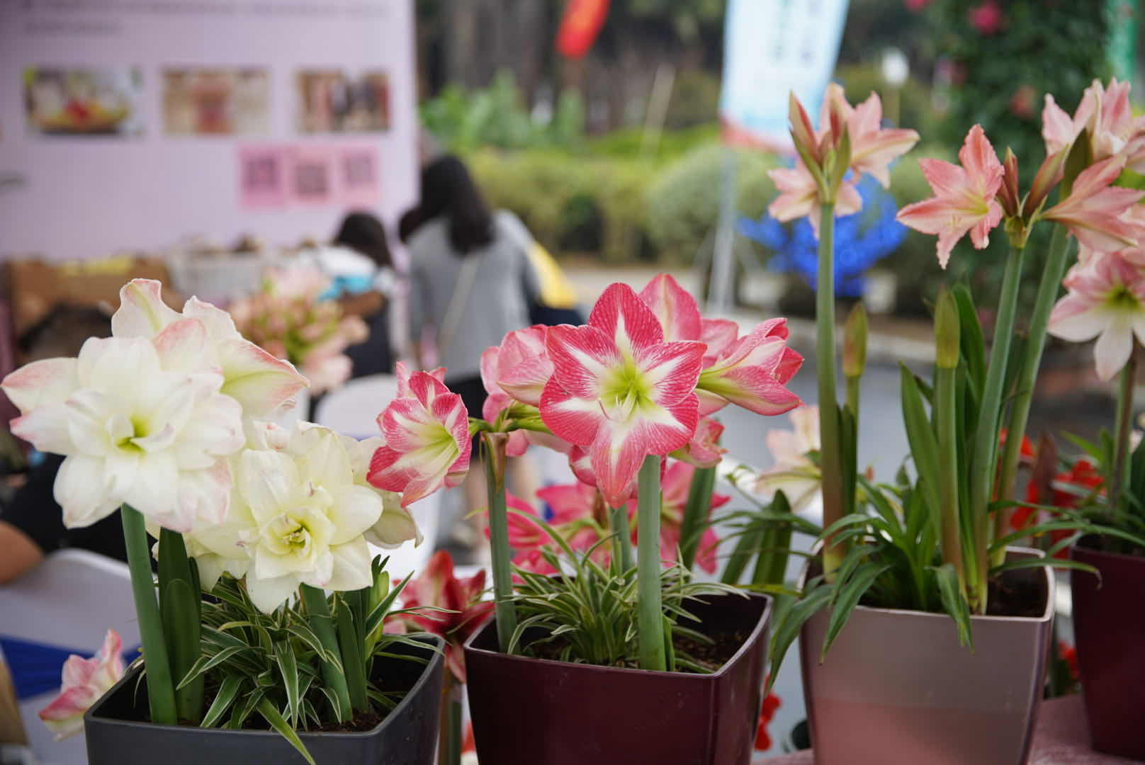 微信图片_20201031104725