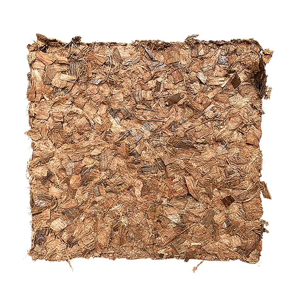 Coco Chips