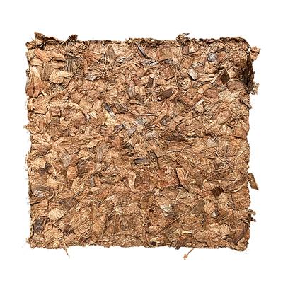 Coco Chips