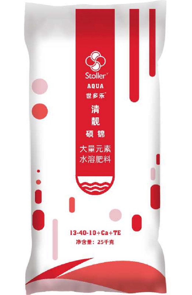 世多乐-硕锦