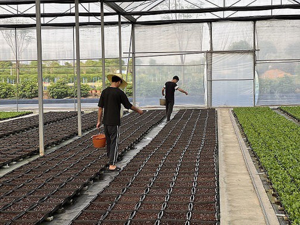 Floriculture&Greenhouse