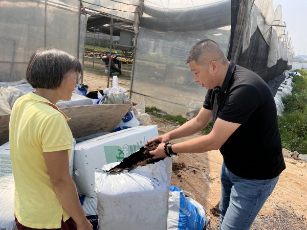 雨林泥炭，让客户使用更加安心放心
