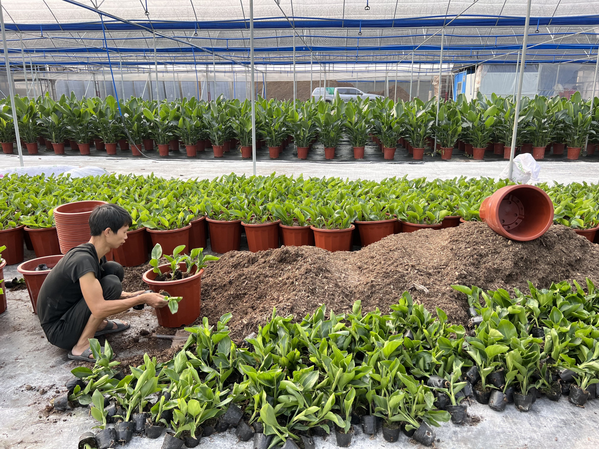 关注客户——雨林人与客户一同成长