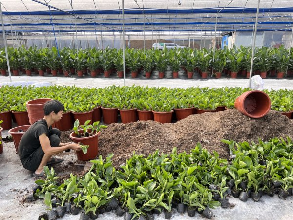 关注客户——雨林人与客户一同成长