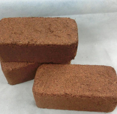 600g Small block Coco Peat