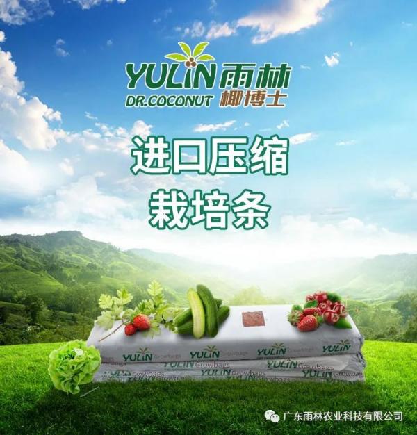 椰博士系列产品-栽培条