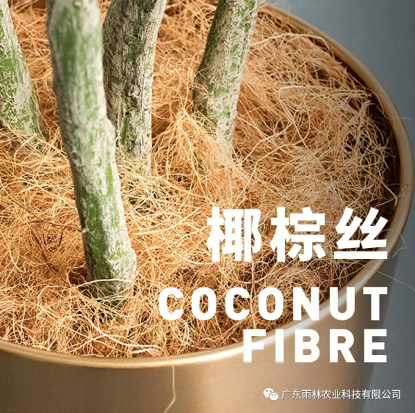 椰博士系列产品-椰壳纤维