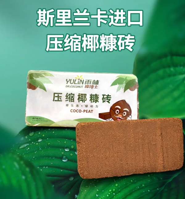 椰博士系列产品-小椰砖