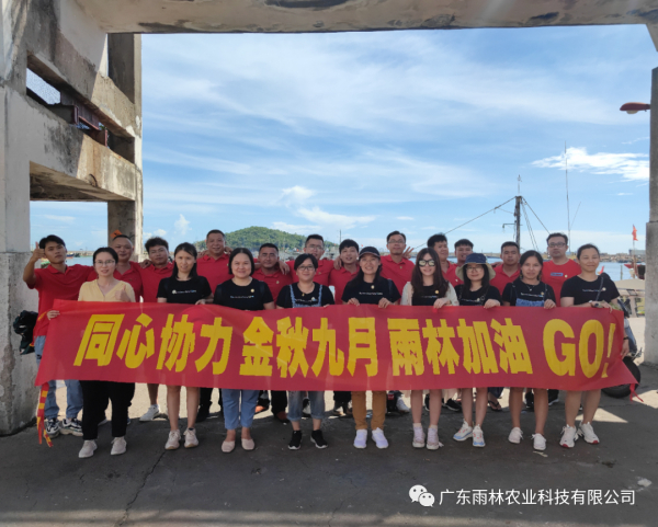 同心协力/金秋九月/雨林加油/GO！YULIN GO FIGHTING!