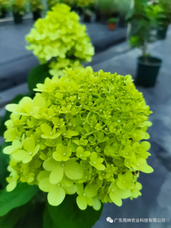 关于灌溉，一篇发表于2012年的好文章