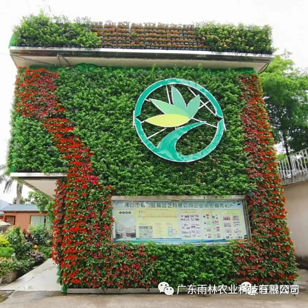 守初心，阔视野——雨林人参观学习之行