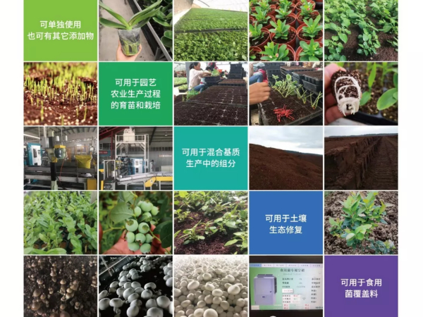 波罗的海原矿泥炭