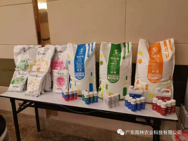 专注技术和服务，用心做好产品和应用