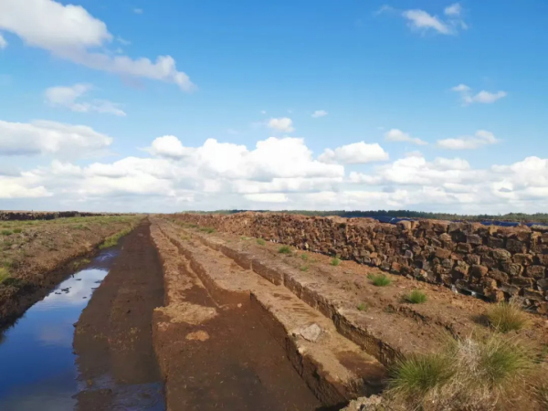 【转】泥炭--不仅仅是基质【原文：中国泥炭《泥炭产业，你是妥妥的新质生产力》】