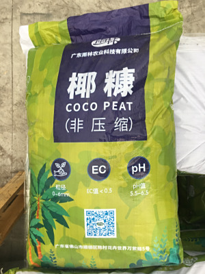 Coco Peat After Expansion