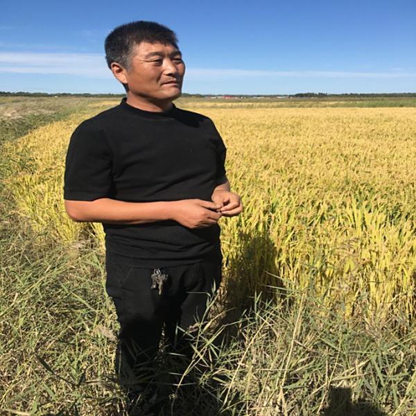 科技日报报道我公司盐碱地改良技术