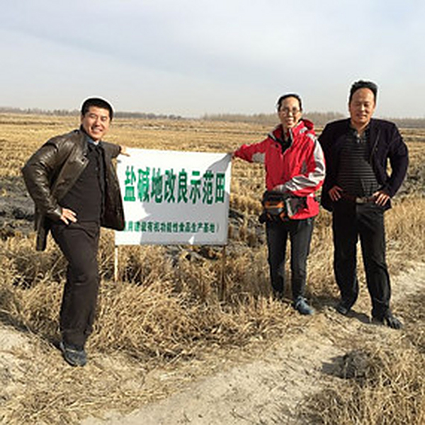 禾康不含有养分，可为什么盐碱地使用禾康改良后增产十分显著？