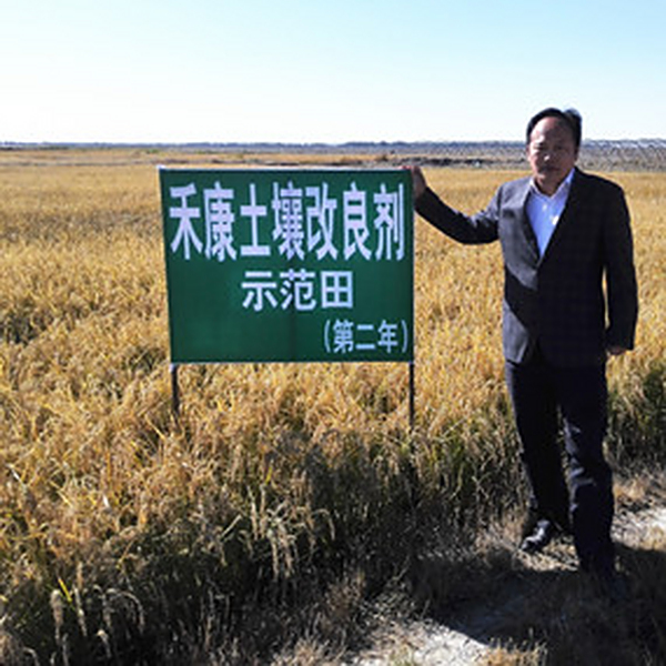 盐碱地种植水稻当年取得成功—2014年吉林省镇赉县电视台新闻报道