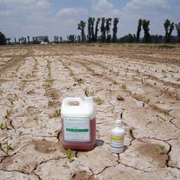 盐碱地使用禾康改良后，以后是否还需要继续使用禾康？