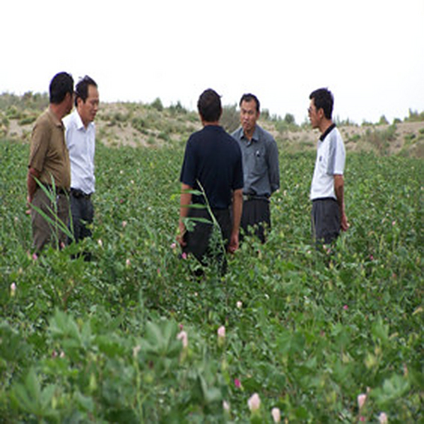 2006年11月，与新疆新和县水利局达成盐碱土壤改良剂供货协议