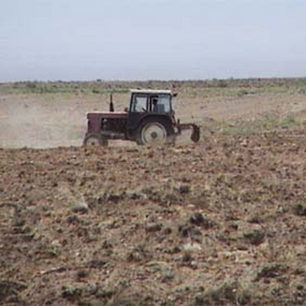 新疆恰普其海水库移民43600亩盐碱改良项目（2005年，新疆伊犁州恰普其海水库移民盐碱改良项目全部采用我公司盐碱地改良技术）