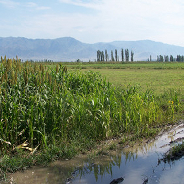 2009年3月，与新疆拜城县水利局水管总站达成供货协议