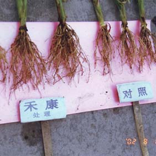 使用禾康改良盐碱地与其它盐碱地改良方法相比有哪些优势？